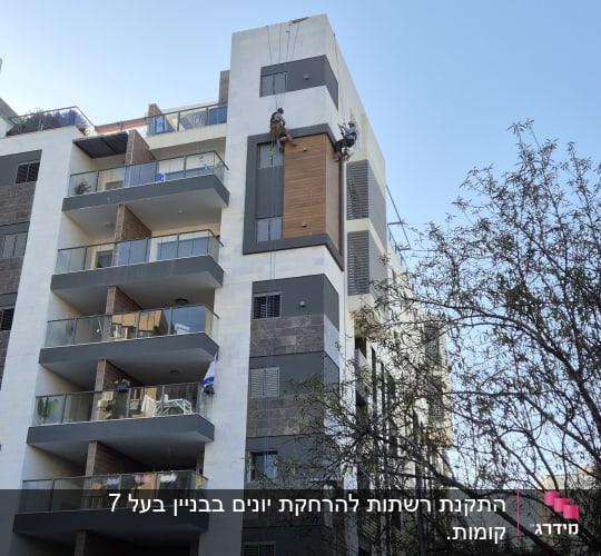 שני אנשים תלויים על חבלים על בניין גבוה